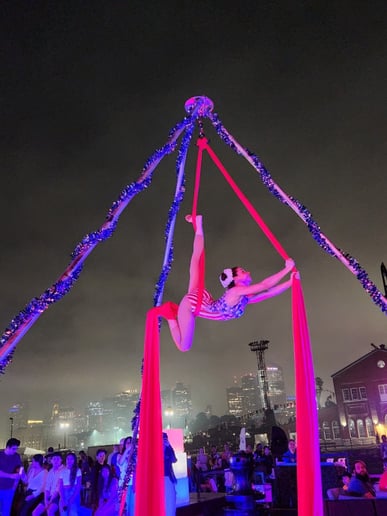 Gallery photo 9 of Celia - Aerialist