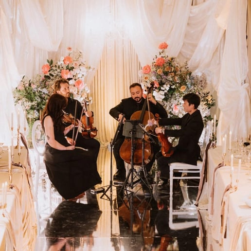 Gallery photo 1 of String Theory Ensemble | Vancouver BC