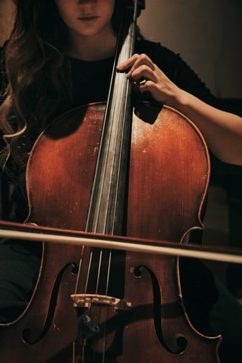 Gallery photo 4 of Cellist Daphne O'Rullian