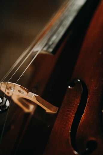 Gallery photo 5 of Cellist Daphne O'Rullian
