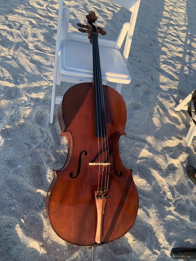Gallery photo 1 of Melissa, Cellist for Events