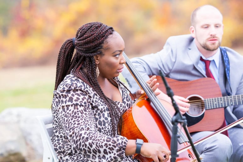 Gallery photo 2 of Firefly Strings