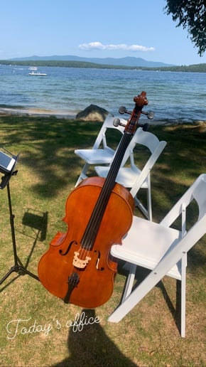 Gallery photo 4 of Firefly Strings