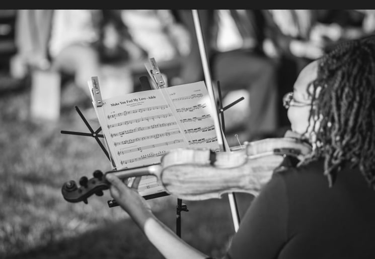 Gallery photo 6 of Firefly Strings