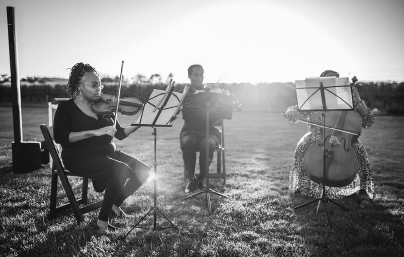Gallery photo 7 of Firefly Strings