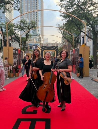 Gallery photo 6 of Cellist Zaida