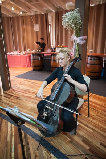 Gallery photo 5 of Cellista
