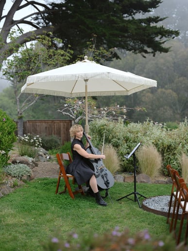 Gallery photo 12 of Cellista