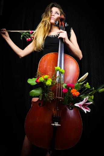 Gallery photo 2 of Cello by Triana