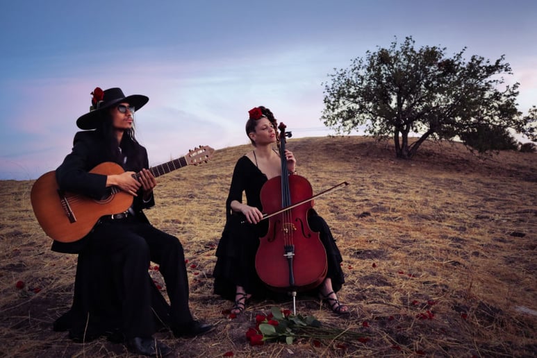 Gallery photo 3 of Cello by Triana