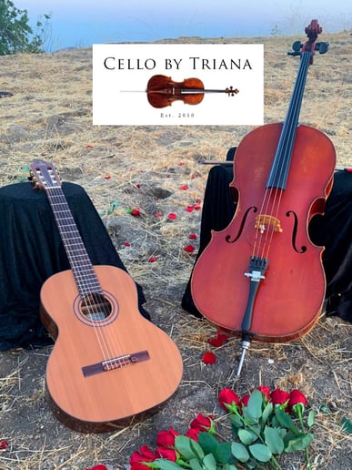 Gallery photo 6 of Cello by Triana