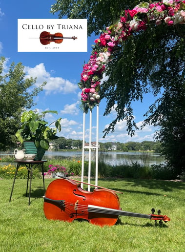 Gallery photo 3 of Cello by Triana