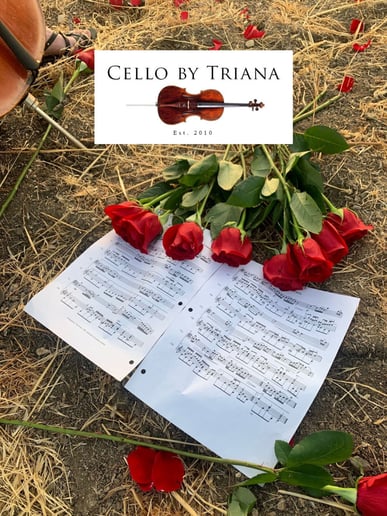 Gallery photo 7 of Cello by Triana