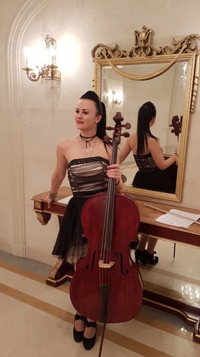 Gallery photo 1 of Cello, electro cello