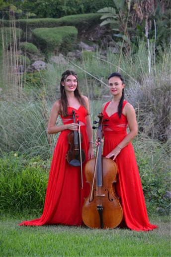 Gallery photo 2 of Cello, electro cello