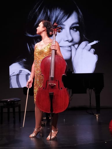 Gallery photo 10 of Cello, electro cello