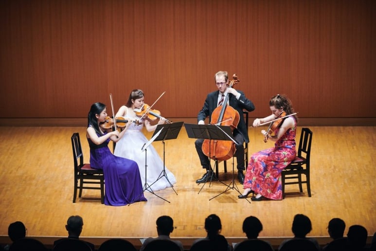 Gallery photo 4 of Cello by Jake