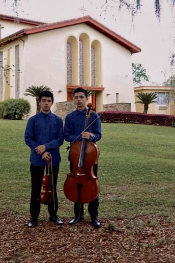 Gallery photo 3 of Cello Ovalle