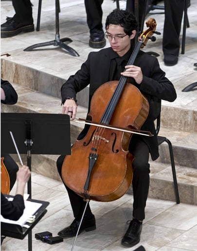 Gallery photo 6 of Cello Ovalle