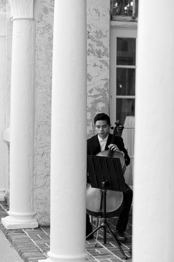 Gallery photo 2 of Cello Ovalle