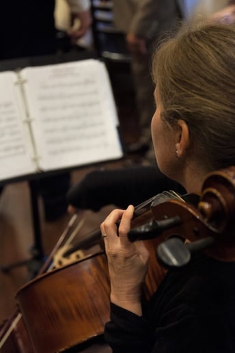 Gallery photo 4 of Cello Serenade