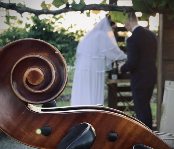 Gallery photo 3 of Cello Serenade