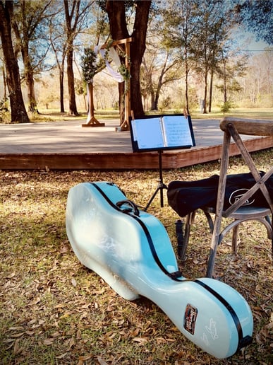 Gallery photo 8 of Cello Serenade
