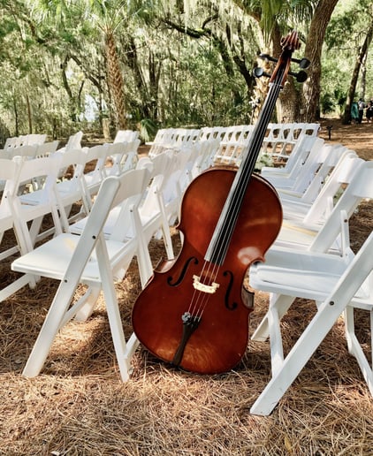 Gallery photo 6 of Cello Serenade