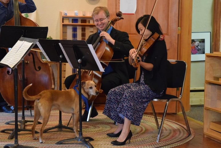 Gallery photo 4 of Will Teegarden plays Cello