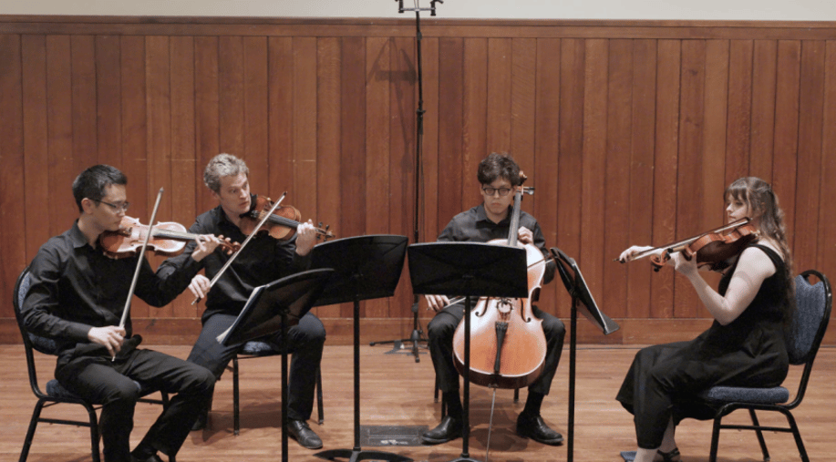 Gallery photo 2 of Cello Sam