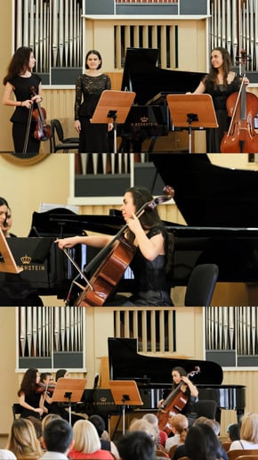 Gallery photo 4 of Cello Story