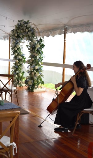 Gallery photo 7 of Cello Story
