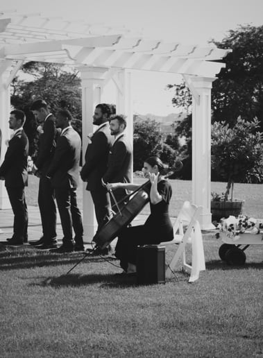 Gallery photo 8 of Cello Story