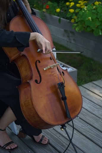 Gallery photo 10 of Cello Story