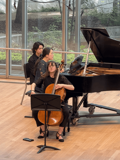 Gallery photo 1 of Cello to the King Music
