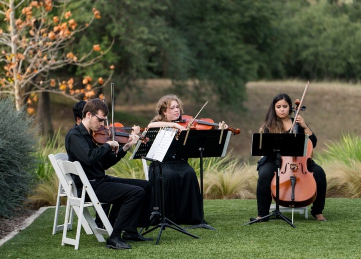 Gallery photo 2 of Cello Vida