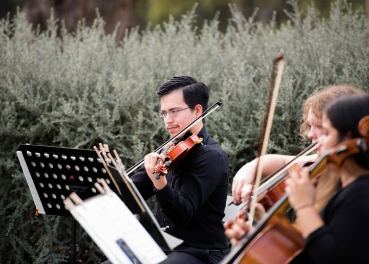 Gallery photo 3 of Cello Vida