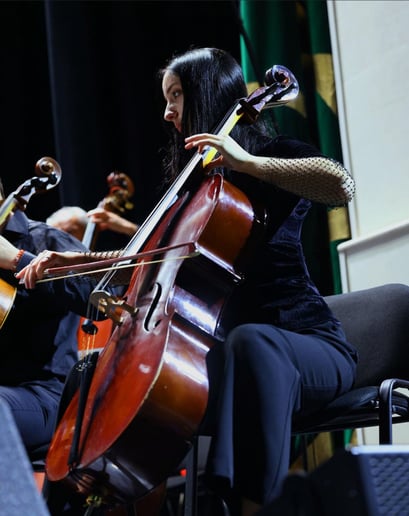 Gallery photo 3 of Celloise Events