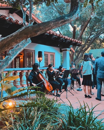 Gallery photo 8 of Celloise Events