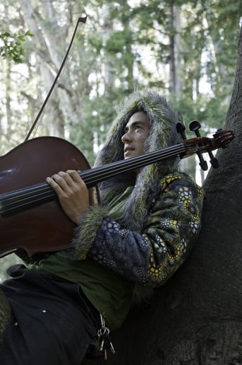 Gallery photo 10 of CelloJoe
