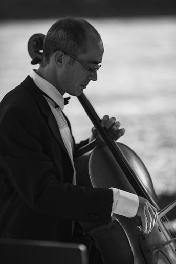 Gallery photo 16 of CelloJoe