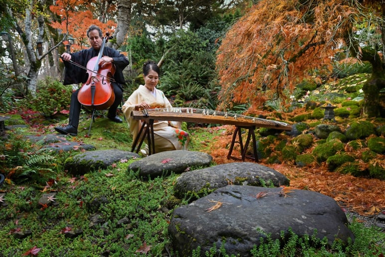 Gallery photo 1 of Cellotopia Music