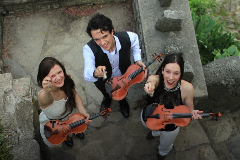 Gallery photo 2 of Celtic Fiddle