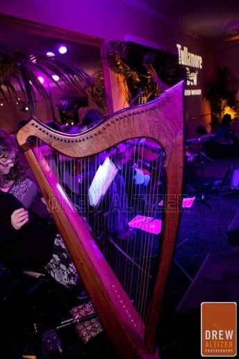 Gallery photo 12 of Lara Garner, Harpist/Pianist/String Ensemble