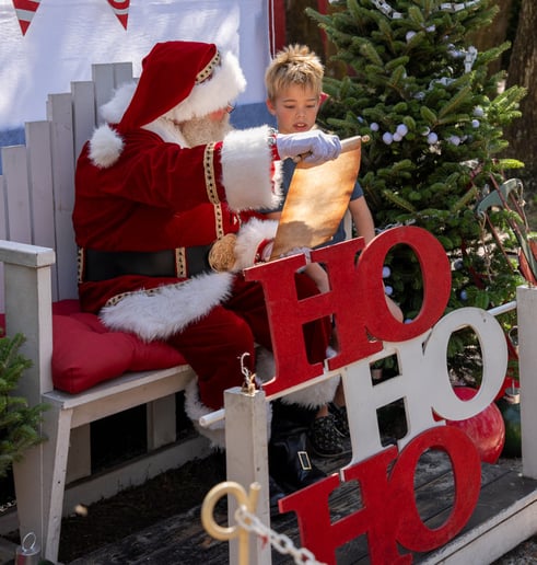 Gallery photo 14 of REAL Beard Central Florida Santa Claus