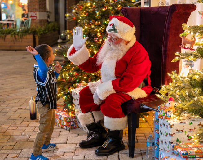 Gallery photo 11 of REAL Beard Central Florida Santa Claus