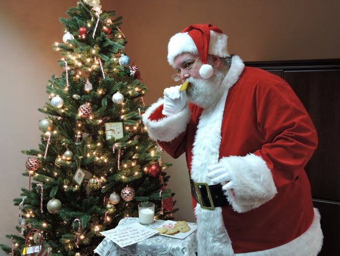 Gallery photo 6 of Central PA Santa