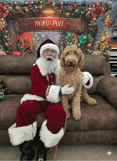 Gallery photo 2 of Central Wisconsin Santa