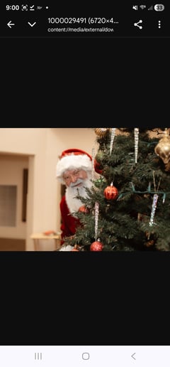 Gallery photo 2 of Central Wisconsin Santa