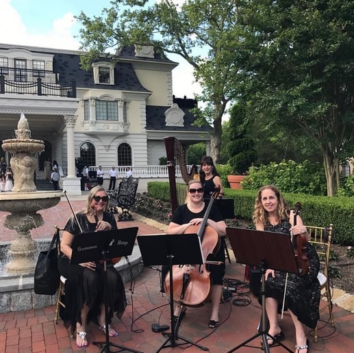 Gallery photo 2 of Ceremonious Strings LLC 